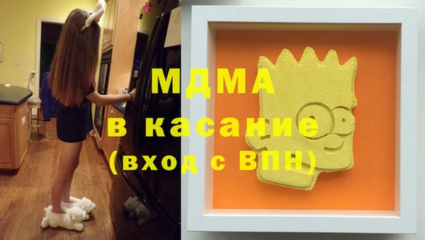 шишки Арсеньев
