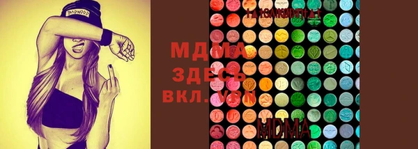 шишки Арсеньев
