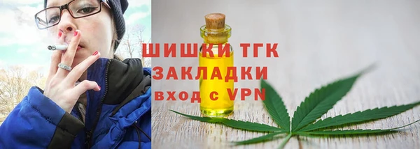 шишки Арсеньев