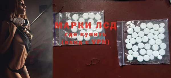 шишки Арсеньев