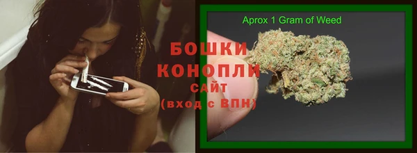 шишки Арсеньев