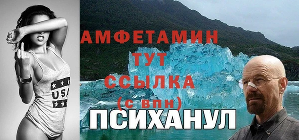 шишки Арсеньев