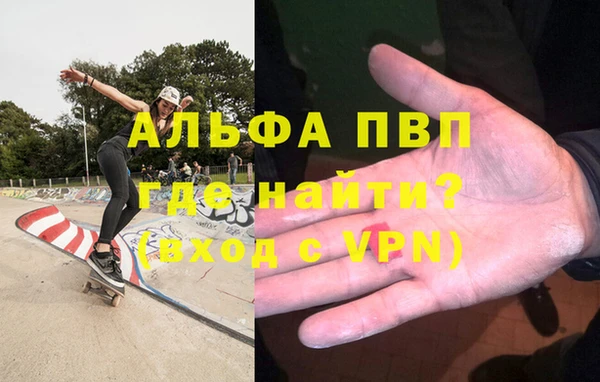 шишки Арсеньев