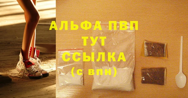 шишки Арсеньев