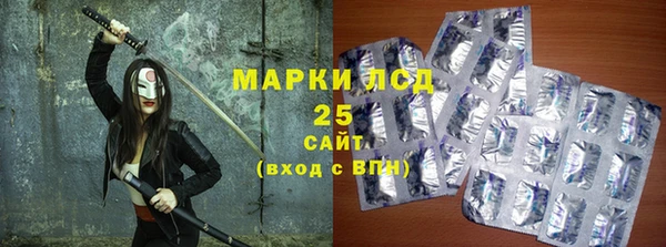 шишки Арсеньев