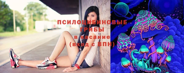 шишки Арсеньев