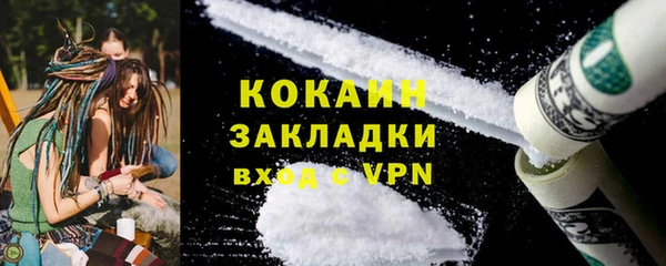 шишки Арсеньев